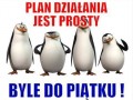 plan jest prosty