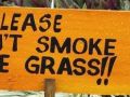 prosze nie palić Trawy