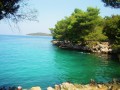 Malinska to popularna miejscowość wypoczynkowa, znajdująca się na największej na Adriatyku, chorwackiej wyspie Krk, położona na jej zachodnim wybrzeżu. Pokryta bujną roślinnością (lasy sosnowe, ogrody), oferująca turystom żwirowe i piaszczyste plaże, stanowi atrakcję turystyczną i jest wspaniałym miejscem wypoczynku. Na wyspie Krk znajdują się także inne, ciekawe miasta i miejsca wypoczynkowe, które warto odwiedzić spędzając wakacje w Malinsce - Baszka (Baška), Njivice czy miasto Krk, serce wyspy.


Historia, kultura


O miejscowości pierwszy raz usłyszano w XV w., kiedy dzięki posiadaniu gęstych lasów, była portem wywozu drewna. Z miejscowości Baszka (Baška) zaś, pochodzi najstarszy zabytek piśmienniczy języka, tzw. Kscunskii Ploca, napisany głagolicą.

Początkowo wyspa należała do Imperium Rzymskiego, a miasto Krk otoczone murem obronnym, mieszkańcy nazwali najpiękniejszym. (Splendidissima Civitas Kuryctarum). Wraz z upadkiem Cesarstwa Rzymskiego, wyspą zawładnęło Bizancjum, następnie Wenecja, Austro - Węgry i wreszcie Chorwacja. Z tych, dawnych czasów zachowała się piękna, zabytkowa katedra chrześcijańska z XII wieku.


Zabytki, atrakcje


Wyspa Krk jest połączona z lądem od roku 1989 najdłuższym na świecie, betonowym mostem w kształcie łuku, o długości 1430 metrów. Połączenie to zaowocowało rozwojem przemysłu Krku. Na wyspie powstało lotnisko, zakłady przemysłowe, liczne hotele i atrakcje turystyczne.

Miejscowość Malinska łączy się z sąsiadującą, wypoczynkową miejscowością Njivice piękną promenadą Rajski Put (Droga Edenowa). Njivice to przede wszystkim cudowne plaże, niespotykanie niebieskie morze, gaje oliwne, przyjemny, łagodny klimat.

Około 14 km od Malinski znajduje się miasto Punat, które jest najważniejszym portem na wybrzeżu Adriatyku. Turyści odnajdą w nim kilka zabytków, jak tłocznia oleju z oliwek z XVIII wieku czy barokowy kościół z tego samego okresu.

Także około 14 km od Malinski znajduje się bardzo atrakcyjne turystycznie miasto - Crikvenica. Jest ono jednym z najbardziej znanych ośrodków turystycznych Zatoki Kvarnerskiej. Największe atrakcje skupione są wzdłuż tzw. Riwiery, ciągnącej się od Jadrova na północy, do Selca na południu. W mieście znajduje się również wiele sanatoriów oraz pawilonów łaźniczych, może więc być także traktowane jako miejscowość uzdrowiskowa. Crikvenica to wspaniałe miejsce rekreacyjne, w którym znajdziemy mnóstwo możliwości uprawiania sportów - trasy spacerowe, korty tenisowe i wiele innych.

Tylko 11 km od Malinski znajduje się centralne na wyspie miasto Krk. Fortyfikacja z XII wieku, która zachowała się do dziś, nadaje miastu średniowieczny klimat. Innymi zabytkami wartymi zobaczenia jest katedra czy zamek z XV wieku, wokół których rozpostarta jest sieć wąskich, urokliwych uliczek. W katedrze znajdują się wspaniałe słupy, pochodzące jeszcze z czasów romańskich. Przy niej stoi także romańska bazylika Św. Quirina (Św. Kwiryna), przepięknie zdobiona. W tym muzeum odnajdziemy kolekcje malarstwa włoskiego z XVI i XVII wieku oraz zabytek z 1477 roku - srebrny ołtarz przedstawiający Madonnę. Innym ciekawym i wartym zobaczenia miejscem jest galeria Decumanus, w której prezentowana jest współczesna sztuka chorwacka. Znajduje się przy ulicy Gupca. W mieście każdego roku odbywają się tzw. „Letnie Imprezy Kulturalne”, w których program wpisują się liczne koncerty, przedstawienia teatralne czy spektakle operowe.

Kolejnym interesującym miejscem jest jaskinia Biserujka, znajdująca się w pobliżu miejscowości Rudine (północna część wyspy Krk). Można w niej podziwiać wspaniałe stalaktyty i stalagmity, a także, przy odrobinie szczęścia, trafić na koncert muzyki klasycznej.


Rozrywka


Główną rozrywką na wyspie Krk jest wypoczynek na pięknych plażach oraz rekreacja. Klimat umożliwia uprawianie naprawdę wielu dyscyplin sportowych. Co roku w miejscowości Malinska, odbywają się festiwale pieśni i tańców ludowych. W Crikvenicy, w sierpniu odbywają się „Crikvenickie Dni”, a we wrześniu „Tydzień Rybacki”. Prawie w każdym miasteczku znajdującym się na wyspie Krk, przez całe lato organizowane są liczne imprezy kulturalne.


Kuchnia chorwacka


Na wyspie Krk, podobnie jak w całym kraju, spotkamy się z wieloma specjałami regionalnej kuchni. Warto spróbować owczego sera, dalmatyńskiego gulaszu z kopytkami (pašticada), czy wieprzowej kiełbasy (kulen). W każdej restauracji, podawane są dania przygotowywane ze świeżych owoców morza i ryb. Wieczorem, niejedną imprezę „rozkręci” rakija czy też wyrabiany w Dalmacji (Dalmaciji) likier maraschino. Innym, lokalnym alkoholem, który trzeba spróbować będąc na wyspie, jest białe wino vrbnička žlahtina.


Wakacje, transport


Zarówno miejscowość Malinska, jak i cała wyspa Krk są wspaniałym miejscem na wakacyjny urlop. Ciepły, łagodny klimat, piękne plaże i błękitne morze pozwalają na błogi wypoczynek oraz aktywne spędzanie czasu. W miejscowości można uprawiać wiele rodzajów sportu, dzięki kortom tenisowym, polom golfowym, terenom do jazdy konnej a także wspaniałym warunkom do nurkowania i innych aktywności.

Na wyspę można dostać się samolotem, autokarem, a także samochodem. Jeśli jednak nie mamy własnego środka transportu, nie stanowi to żadnego problemu, ponieważ na wyspie jest bardzo dobrze zorganizowana komunikacja - do każdego miasta możemy dojechać często kursującymi tu autobusami.

Z wyspy Krk na ląd można dostać się mostem z miasta Kraljevica lub promem z miasta Baszka (Baška).


Noclegi


Możliwości zakwaterowania w miejscowości Malinska jest wiele. Możemy wybierać między prywatnymi kwaterami w standardzie średnim lub apartamentami, willami czy hotelami dla wymagających, all inclusive.


Pogoda, temperatury


Pogoda na wyspie Krk w lecie jest piękna, średnia temperatura powietrza to 26°C, wody około 21°C. Łagodny klimat śródziemnomorski gwarantuje turystom dużo słońca i niewiele opadów deszczu.