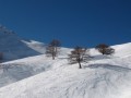 Serre Chevalier, jeden z największych we Francji regionów narciarskich, niemalże stale nasłoneczniony i pokryty świetnym śniegiem. Przyciąga zarówno rodziny z dziećmi, jak i zaawansowanych narciarzy, a to za sprawą zróżnicowanej oferty czterech głównych ośrodków narciarskich. Miłośnicy narciarstwa alpejskiego mogą korzystać z 250 km oznakowanych tras od 1200 do 2800 m n.p.m., a także z bezpiecznych tras poza terenem narciarskim. Również amatorzy narciarstwa biegowego lub snowboardingu znajdą coś dla siebie.
Śnieg gwarantowany od początku grudnia aż do maja. Ponad 40 km tras sztucznie naśnieżanych. Wyjątkowy klimat charakteryzujący się suchym powietrzem, długimi okresami nasłonecznienia i obfitymi opadami śniegu. Nie brakuje zboczy o ekspozycji północnej lub północno-wschodniej na wysokości powyżej 2000 m, co sprawia, że pokrywa śnieżna jest trwała.