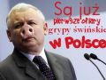Swinska grypa w Polsce