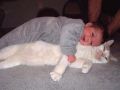 czy ten kot jest duży czy dziecko małe?