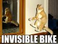 Niewidzialny rower